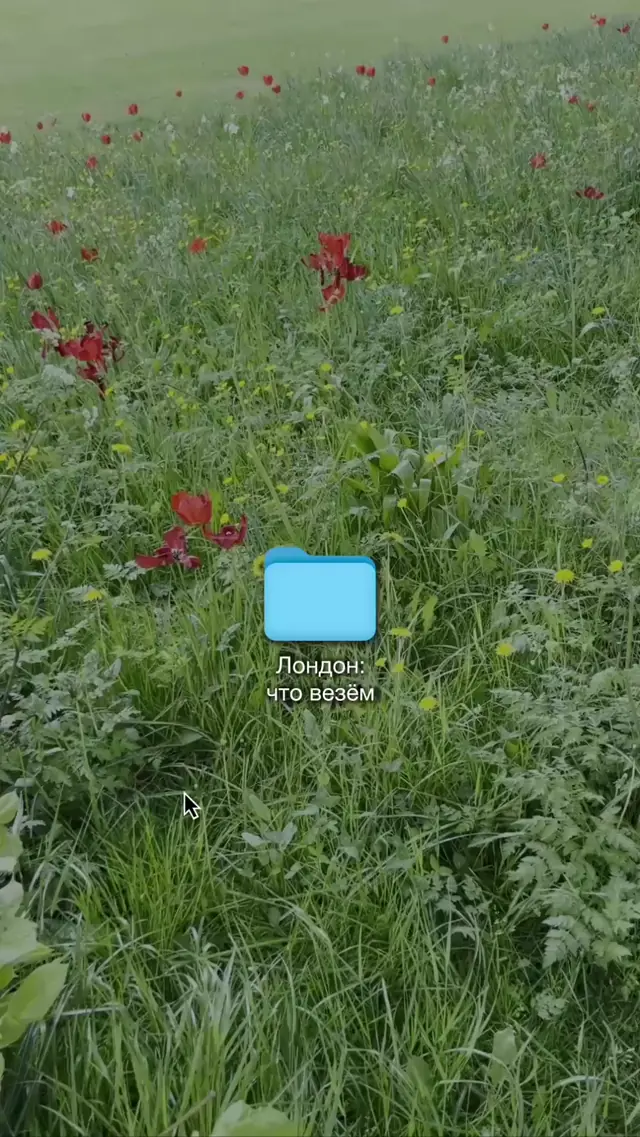 Видео